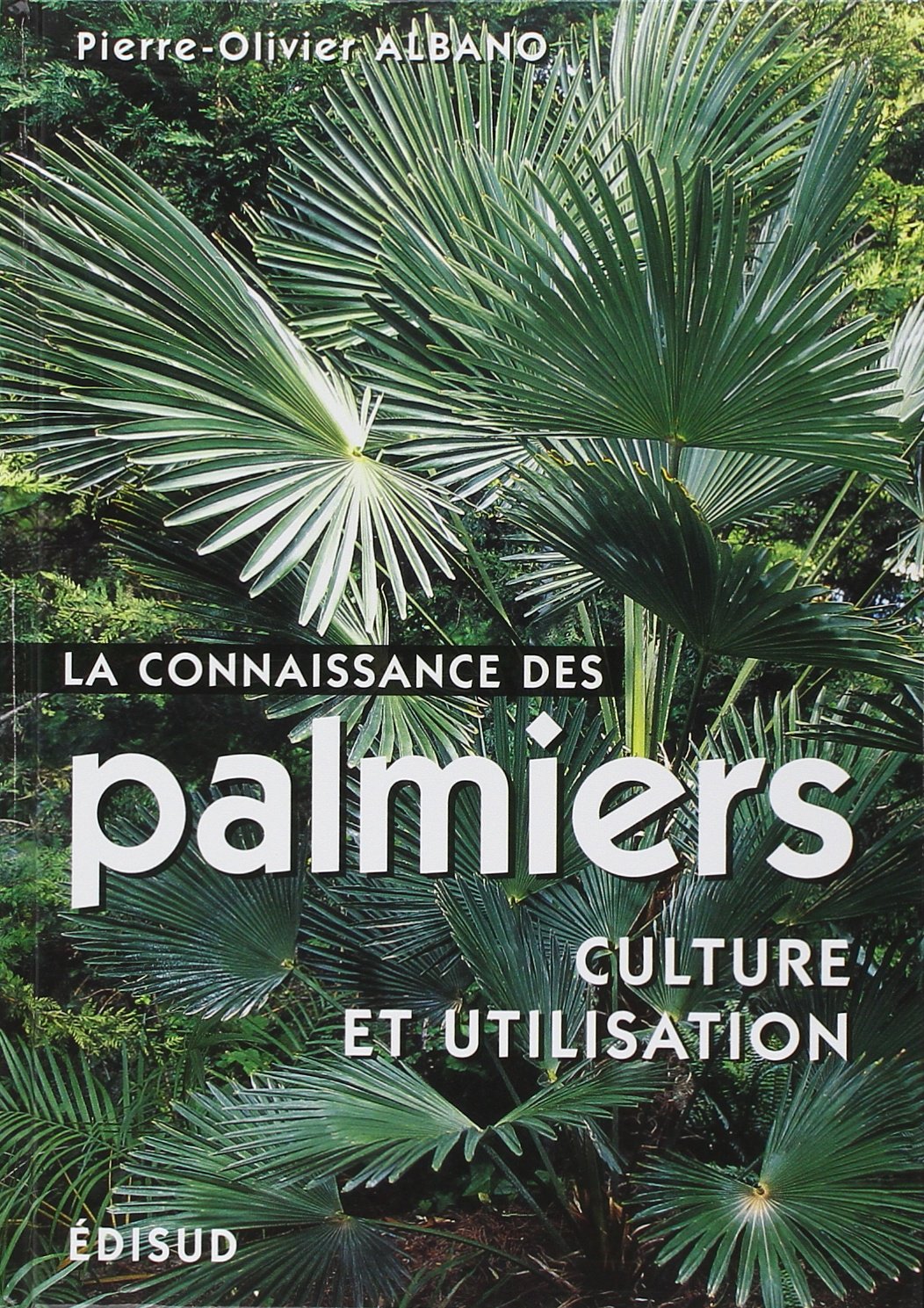 La connaissance des palmiers : culture et utilisation