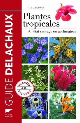 Plantes tropicales : à l’état sauvage ou acclimatées