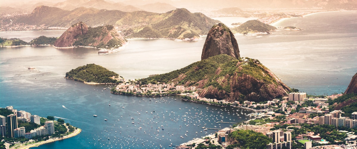 Palmiers en Amérique du Sud